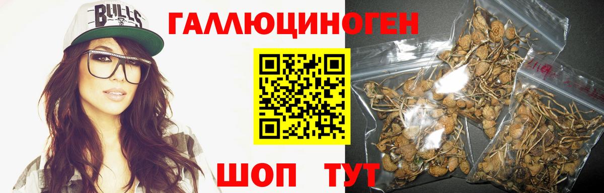Псилоцибиновые грибы Psilocybine cubensis  Вход с VPN  Лосино-Петровский  сколько стоит  Галлюциногенные грибы Cubensis 